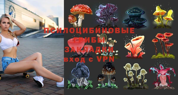 apvp Алексин