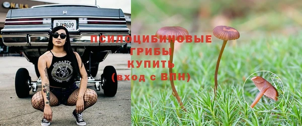мяу мяу мука Алзамай