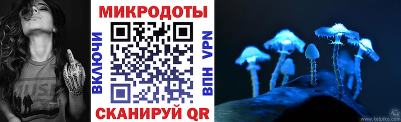 что такое   Клинцы  Галлюциногенные грибы ЛСД 
